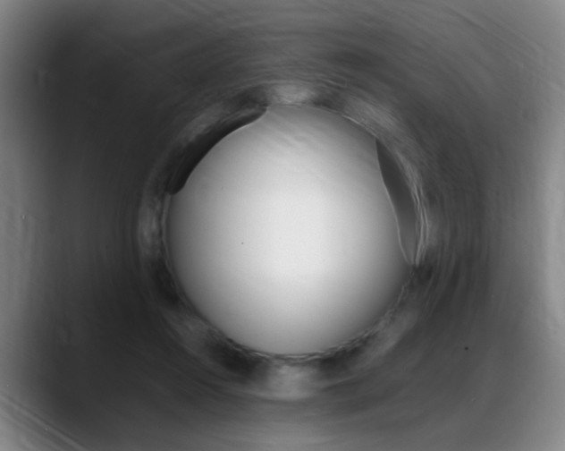 X0000089370360200706150848