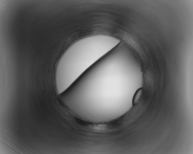 X0000089370361200706150848
