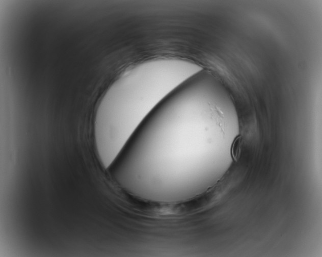 X0000089370365200706150848