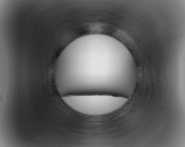 X0000089370369200706150848