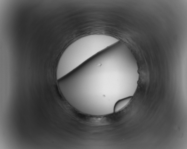X0000089370375200706150848