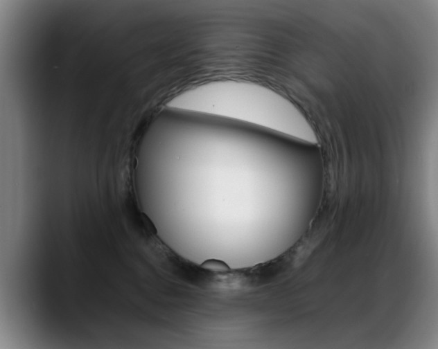 X0000089370376200706150848