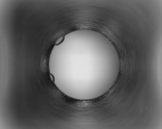 X0000089370378200706150848