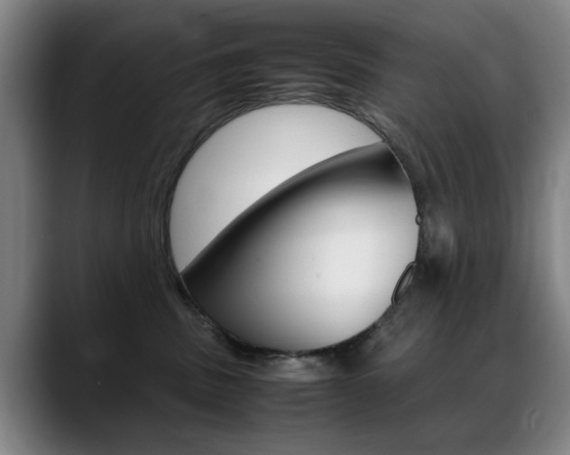 X0000089370379200706150848