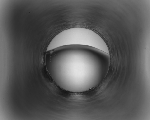 X0000089370380200706150848