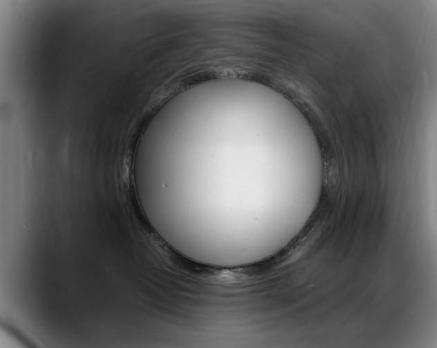 X0000089370382200706150848