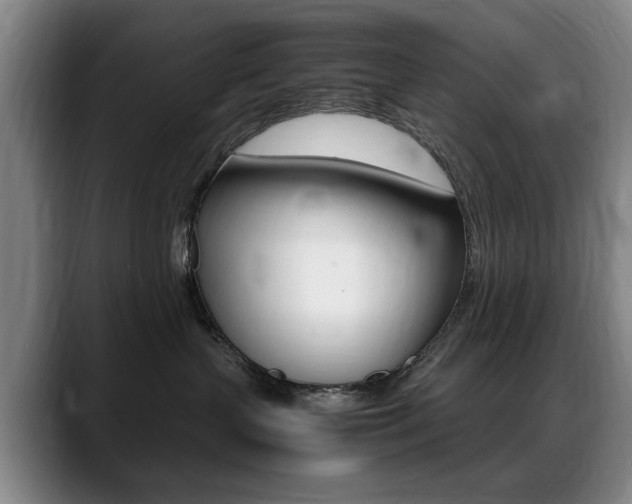 X0000089370383200706150848