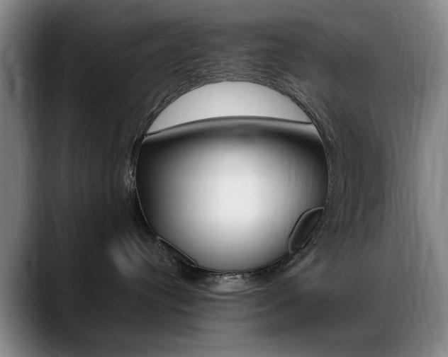 X0000089370384200706150848