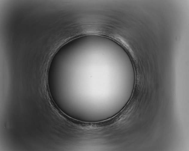X0000089370385200706150847