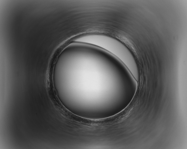 X0000089370388200706150847