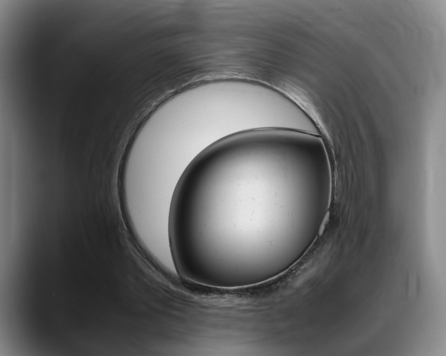 X0000089370389200706150847