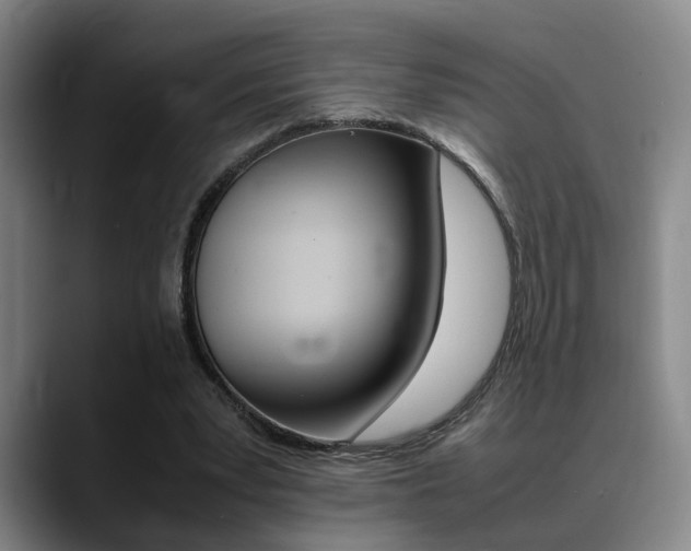 X0000089370391200706150847