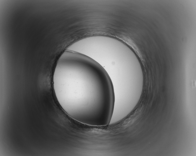 X0000089370393200706150847