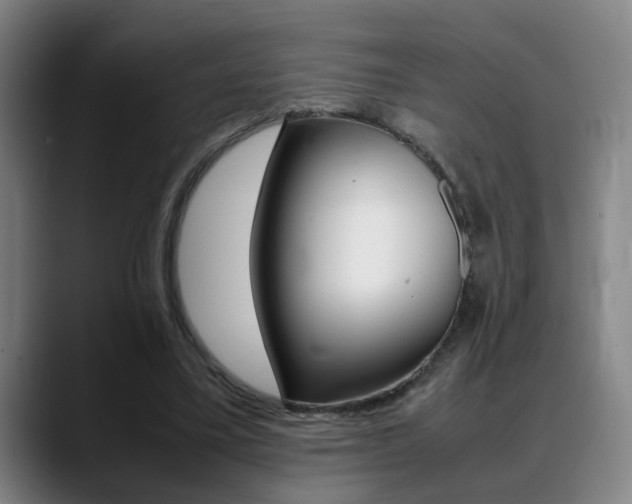X0000089370395200706150847