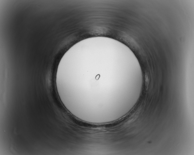 X0000089370396200706150847