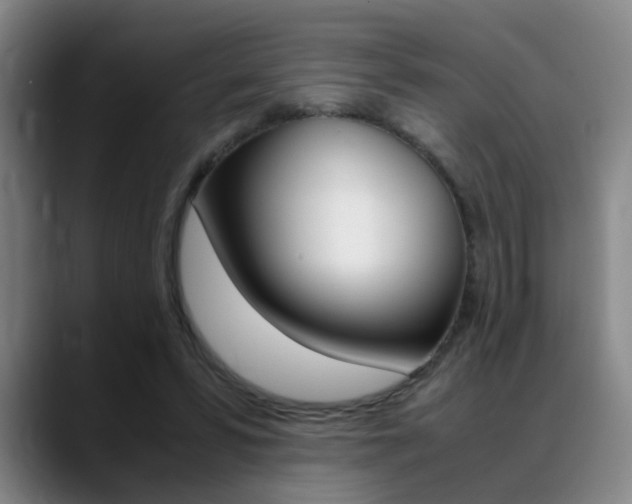 X0000089370399200706150847