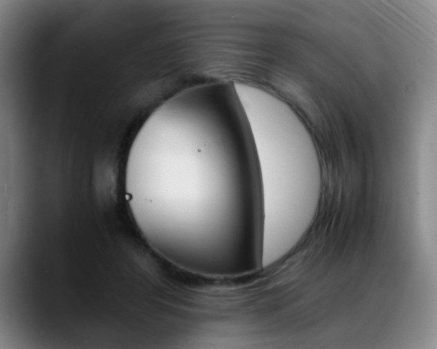 X0000089370404200706150847