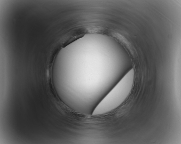 X0000089370405200706150847
