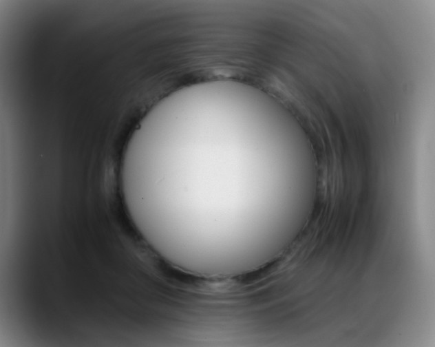 X0000089370410200706150847