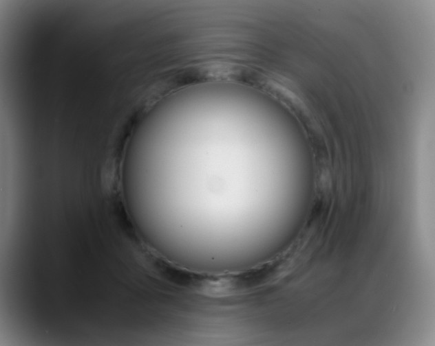 X0000089370411200706150847