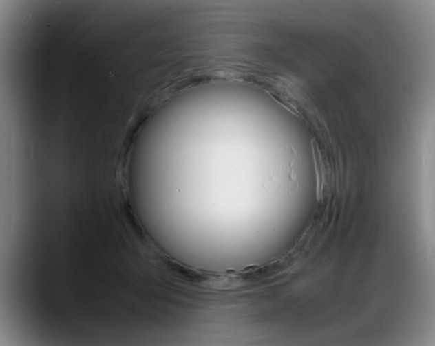 X0000089370415200706150847