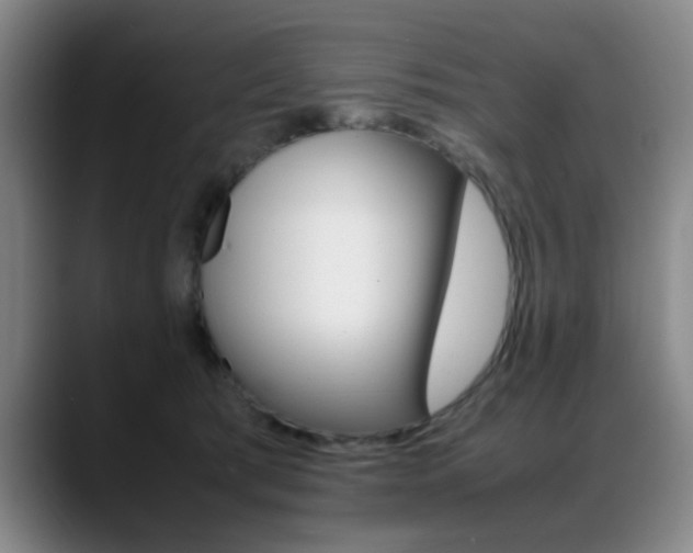 X0000089370417200706150847