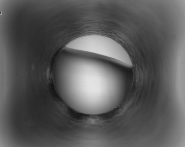 X0000089370420200706150847