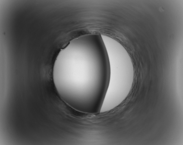X0000089370421200706150847