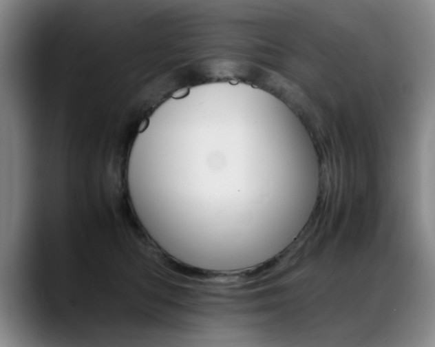 X0000089370422200706150847