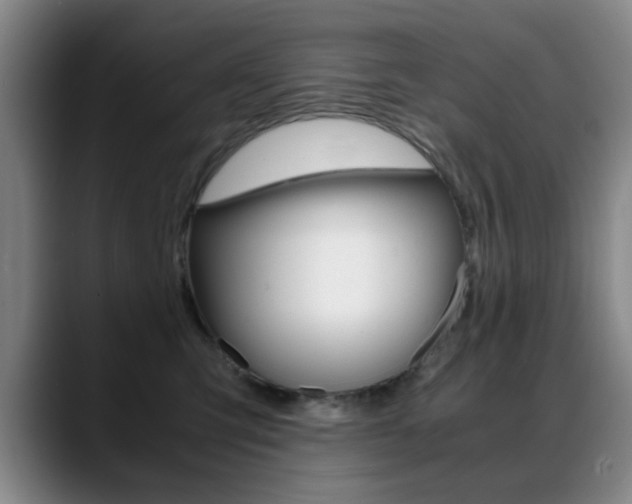 X0000089370423200706150847