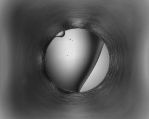 X0000089370424200706150847