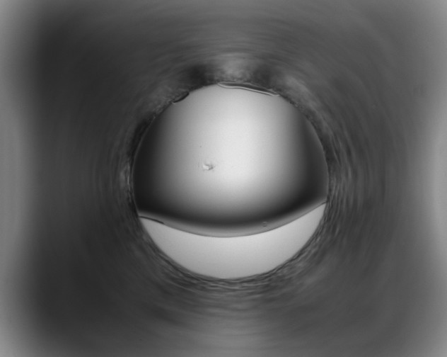 X0000089370425200706150847