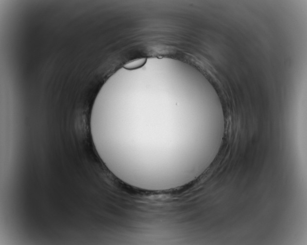 X0000089370426200706150847