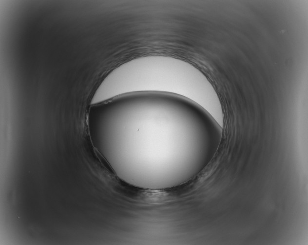 X0000089370429200706150847
