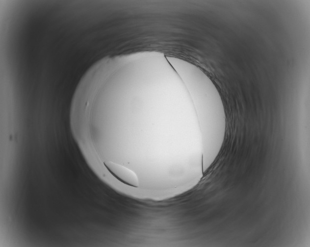 X0000089370431200706150847