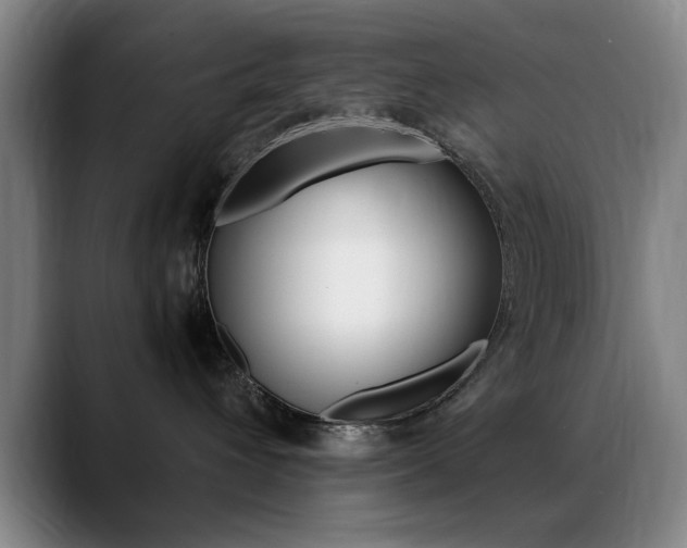 X0000089370432200706150847