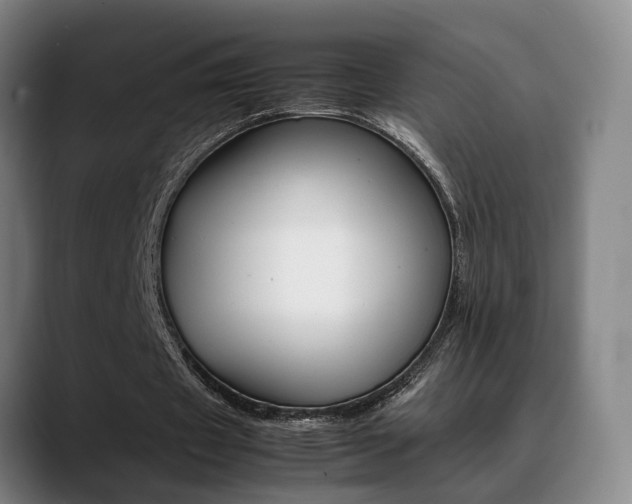 X0000089370433200706150846