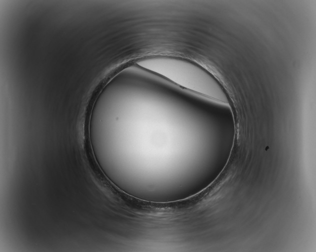 X0000089370438200706150846