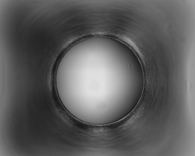 X0000089370439200706150846
