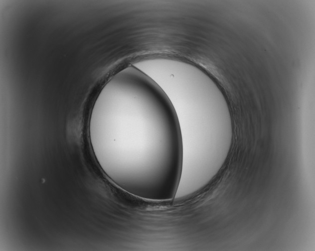 X0000089370440200706150846