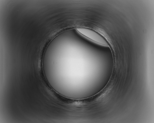 X0000089370441200706150846