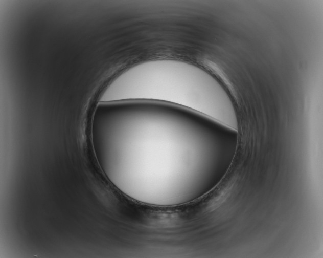 X0000089370443200706150846