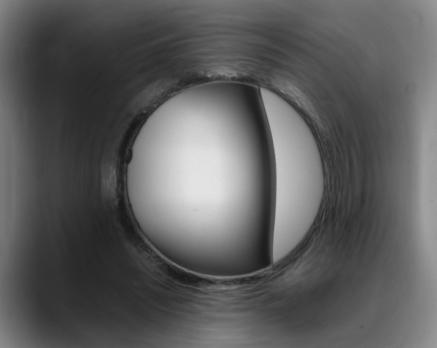 X0000089370444200706150846