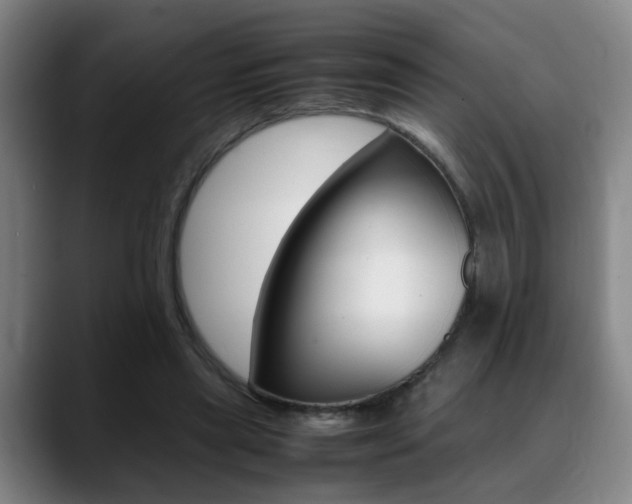 X0000089370445200706150846