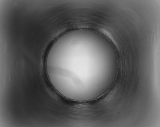 X0000089370447200706150846