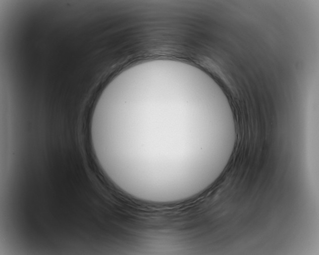 X0000089370448200706150846