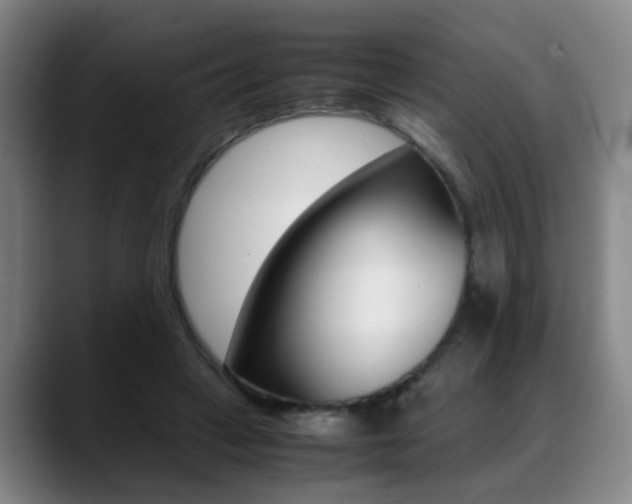 X0000089370449200706150846
