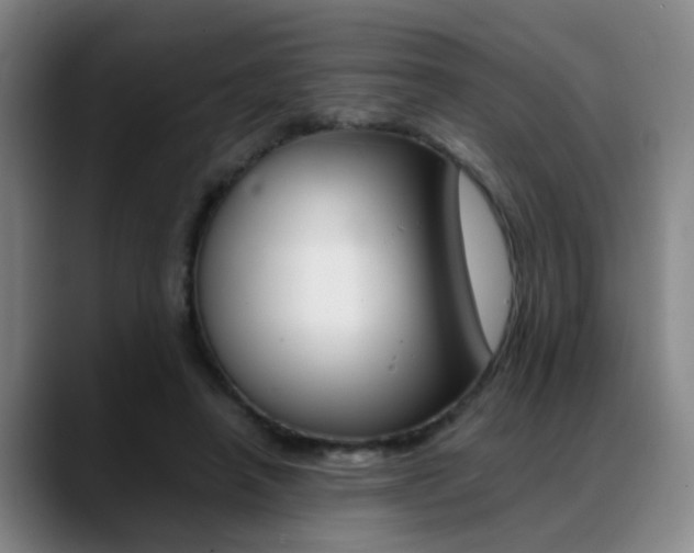 X0000089370450200706150846