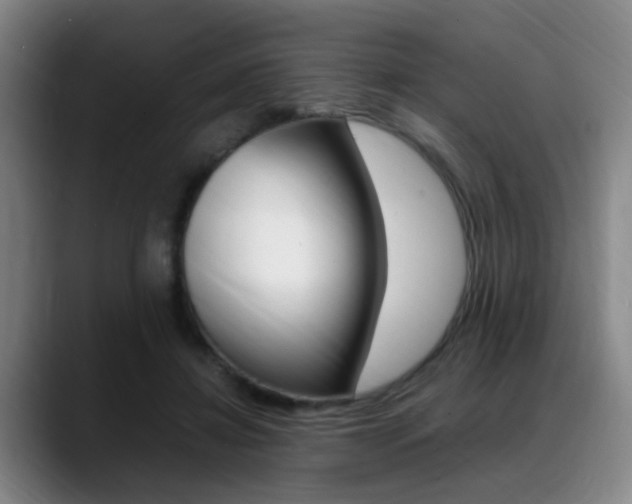 X0000089370452200706150846
