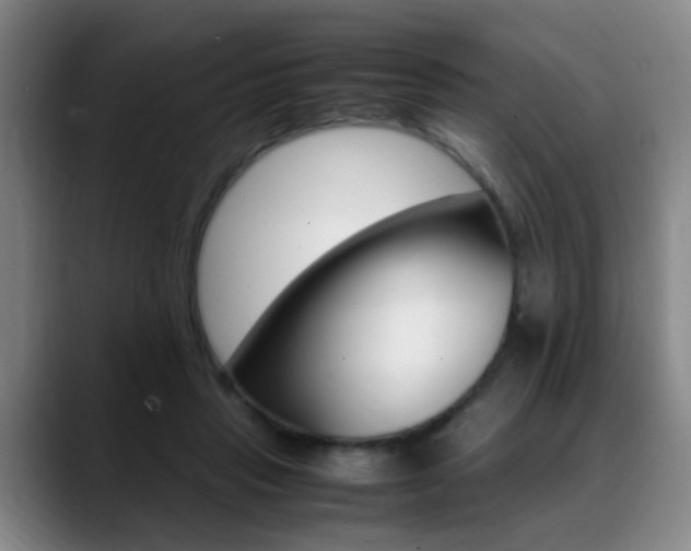 X0000089370453200706150846